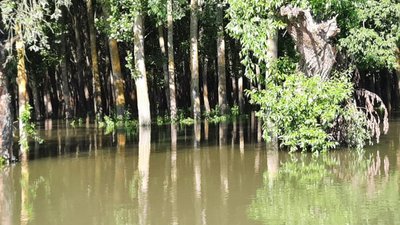 На Одещині вода із заплави річки піднялась до рівня автодороги На Одещині вода із заплави річки піднялась до рівня автодороги