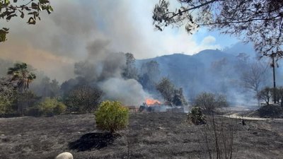 У Кіпрі вирує найбільша за 40 років лісова пожежа, є загиблі У Кіпрі вирує найбільша за 40 років лісова пожежа, є загиблі