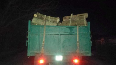 В лісах Житомирщини на порушників чатують фотопастки