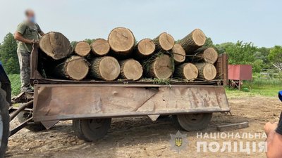На Полтавщині викрили чоловіків, яких підозрюють у незаконній порубці дерев