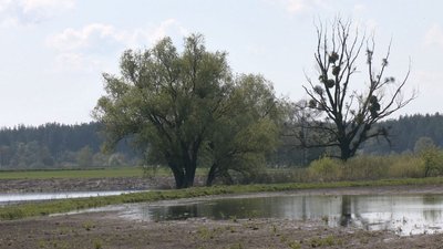 Посівна під час водопілля Посівна під час водопілля