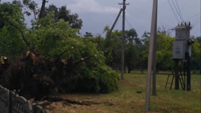 Повалені дерева та вежа мобільного зв'язку: на Черкащині через грозу знеструмлені кілька сіл Повалені дерева та вежа мобільного зв'язку: на Черкащині через грозу знеструмлені кілька сіл