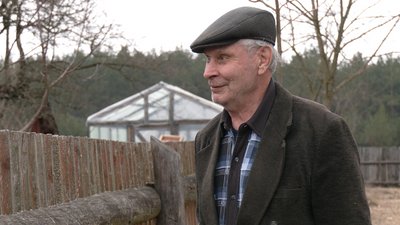 На Рівненщині лелекам роблять "безпечні гнізда". Навіщо вони потрібні На Рівненщині лелекам роблять "безпечні гнізда". Навіщо вони потрібні