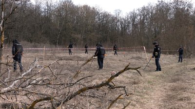 Розмінування на Чернігівщині: понад 58 гектарів лісу планують розмінувати у 2026 році 