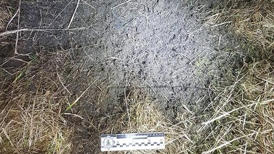 поліція, кримінал, боєприпас, вибух, лікарня, Попільня, Житомирщина