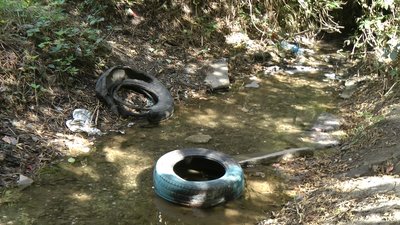 "Запоріжці відчують на собі погіршення якості повітря і води", - експертка про стан Сухої Московки "Запоріжці відчують на собі погіршення якості повітря і води", - експертка про стан Сухої Московки