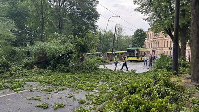 Комунальники ліквідовують наслідки негоди у Львові