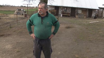 У лісі на Волині селяни знайшли залишки вбитого оленя У лісі на Волині селяни знайшли залишки вбитого оленя
