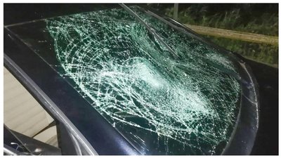 На Мелітопольщині водій скоїв наїзд на пішоходів, двоє з них у реанімації На Мелітопольщині водій скоїв наїзд на пішоходів, двоє з них у реанімації
