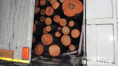 На Житомирщині зупинили фуру з нелегальною деревиною: 60 вільхових колод обсягом 43 кубометри