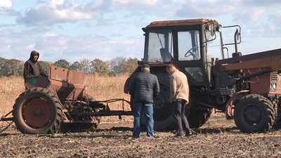 Розповіли про ситуацію з озимими на Черкащині Розповіли про ситуацію з озимими на Черкащині