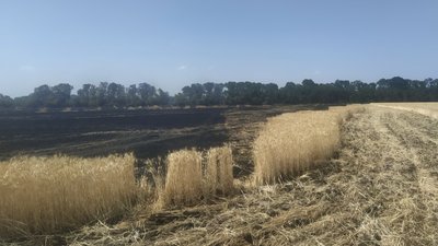 Пожежі на двох полях Харківщини розслідують як підпал Пожежі на двох полях Харківщини розслідують як підпал