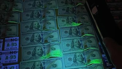 Розкрадання деревини на мільйони гривень: на Вінниччині затримали директора державного підприємства Розкрадання деревини на мільйони гривень: на Вінниччині затримали директора державного підприємства