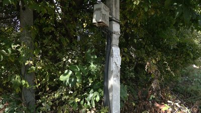 Напруга більше за 400 вольт: рівняни через негоду та горіх три дні сиділи без світла Напруга більше за 400 вольт: рівняни через негоду та горіх три дні сиділи без світла