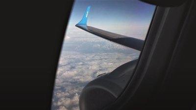 Рейс МАУ повернувся в харківський аеропорт через птаха у двигуні