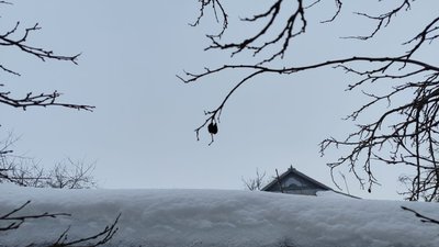Сніг на даху будинку
