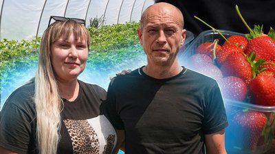 Колаж Суспільне Миколаїв