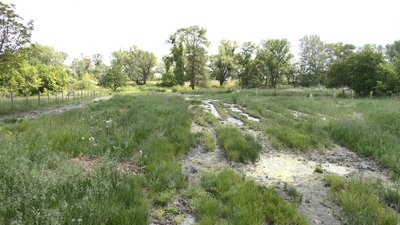 Як водопілля вплинуло на питну воду Як водопілля вплинуло на питну воду