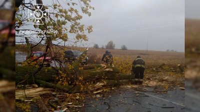 Через негоду на Чернігівщині пошкоджено 2 автомобіля, 3 покрівлі, а без електропостачання залишаються жителі 212 сіл Через негоду на Чернігівщині пошкоджено 2 автомобіля, 3 покрівлі, а без електропостачання залишаються жителі 212 сіл