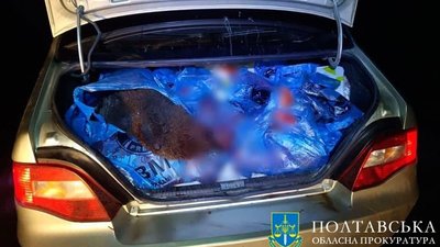 На Полтавщині чоловіка судитимуть за полювання на звірів, занесених до Червоної книги України