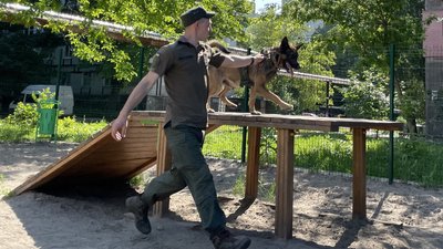 "На службі собака не підводить". Як обирають та тренують службових собак Національної гвардії на Дніпропетровщині "На службі собака не підводить". Як обирають та тренують службових собак Національної гвардії на Дніпропетровщині