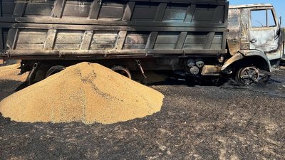 авто з зерном авто з зерном