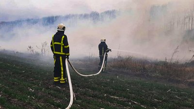 Підпал і необережне поводження з вогнем: за добу 7 разів горіла суха рослинність Підпал і необережне поводження з вогнем: за добу 7 разів горіла суха рослинність