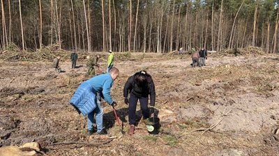 На Хмельниччині до висаджування лісів долучилися переселенці На Хмельниччині до висаджування лісів долучилися переселенці