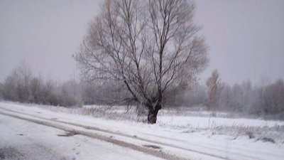 Перший сніг на Сумщині: фоторепортаж