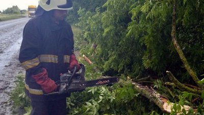 Повалені дерева, відключення світла та пошкоджена городина через град: які наслідки негоди на Житомирщині Повалені дерева, відключення світла та пошкоджена городина через град: які наслідки негоди на Житомирщині