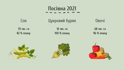 Черкаські аграрії завершують посівну: майже 99% запланованих площ засіяні