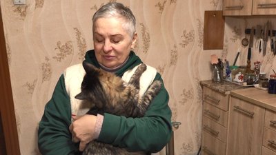 Великий переїзд: волонтери перевезли на Черкащину 80 котів із Донеччини