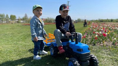 Понад три мільйони тюльпанів, дитячі гірки та фотозони. У громаді на Буковині зацвіло тюльпанове поле Понад три мільйони тюльпанів, дитячі гірки та фотозони. У громаді на Буковині зацвіло тюльпанове поле
