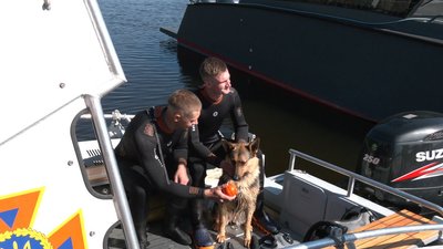 Вчать патрулювати пляжі – на Черкащині готують собаку-водолаза Вчать патрулювати пляжі – на Черкащині готують собаку-водолаза