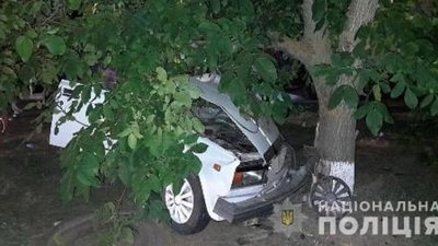 На Херсонщині нетверезий водій протаранив дерево, його та пасажирів ушпиталили