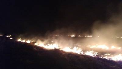 За добу на Житомирщині ліквідували 4 пожежі сухої трави