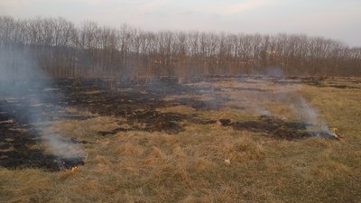 На Житомирщині протягом доби виникло 9 пожеж сухостою. Опіки отримали 3 людини На Житомирщині протягом доби виникло 9 пожеж сухостою. Опіки отримали 3 людини