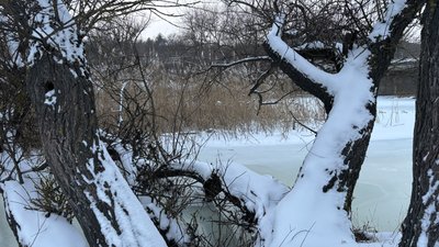 Погода, довкілля