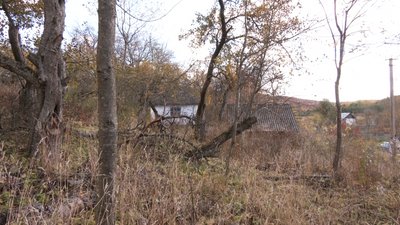 Село Корчунок на Франківщині: 15 років самотності