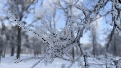 Погода
