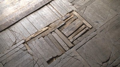 Пліснява та грибок "з'їдають" заповідник "Самчики" на Хмельниччині Пліснява та грибок "з'їдають" заповідник "Самчики" на Хмельниччині