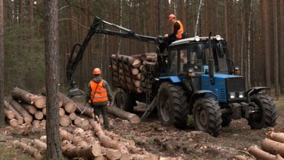 На Волині заготовляють дрова для військових та жителів Миколаївщини На Волині заготовляють дрова для військових та жителів Миколаївщини