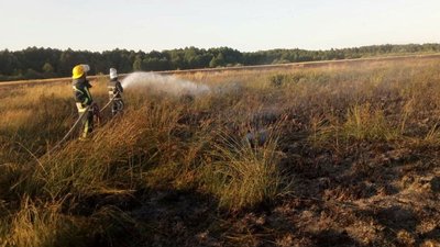 На Волині згоріло 2,5 гектари сухої трави і чагарників На Волині згоріло 2,5 гектари сухої трави і чагарників