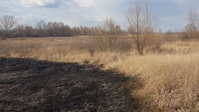 За тиждень четверо людей загинули у пожежах на Харківщині