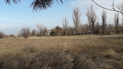 Фонд держмайна виставив на продаж колишній дитячий табір на Одещині Фонд держмайна виставив на продаж колишній дитячий табір на Одещині