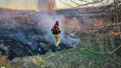 За вихідні на Черкащині вигоріло понад 30 гектарів сухостою, очерету та сміття