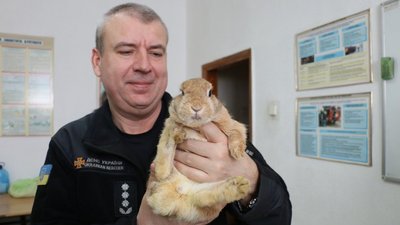 Рятувальники Харкова поселили у себе врятованого кролика. СУСПІЛЬНЕ | ВІДЕОНОВИНИ