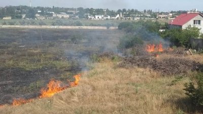 На Херсонщині за добу 8 разів горіло в екосистемах