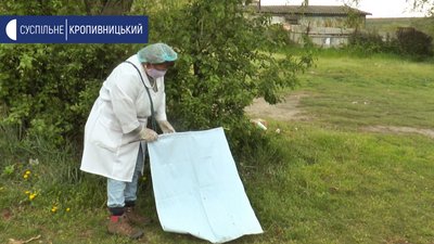 Пляж у Кропивницькому перевіряють на наявність кліщів-переносників хвороби Лайма Пляж у Кропивницькому перевіряють на наявність кліщів-переносників хвороби Лайма