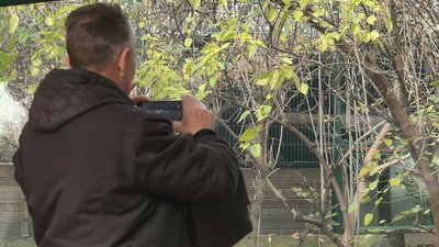 Щоб пережити зиму: черкаському зоопарку потрібен генератор